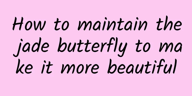 How to maintain the jade butterfly to make it more beautiful
