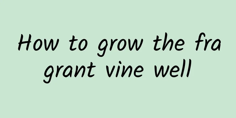 How to grow the fragrant vine well