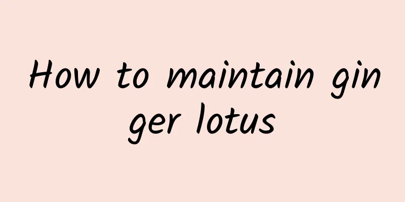 How to maintain ginger lotus