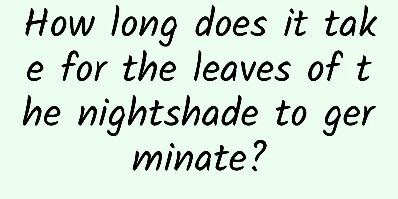 How long does it take for the leaves of the nightshade to germinate?
