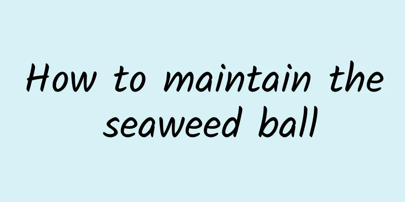 How to maintain the seaweed ball
