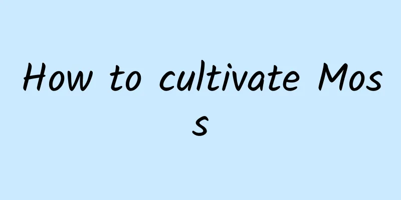 How to cultivate Moss