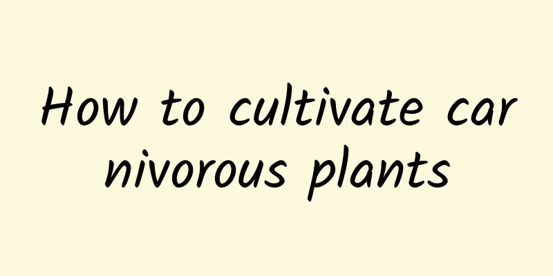 How to cultivate carnivorous plants