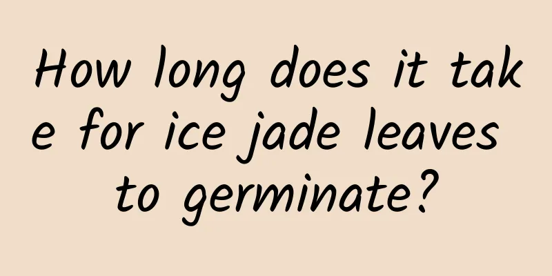 How long does it take for ice jade leaves to germinate?