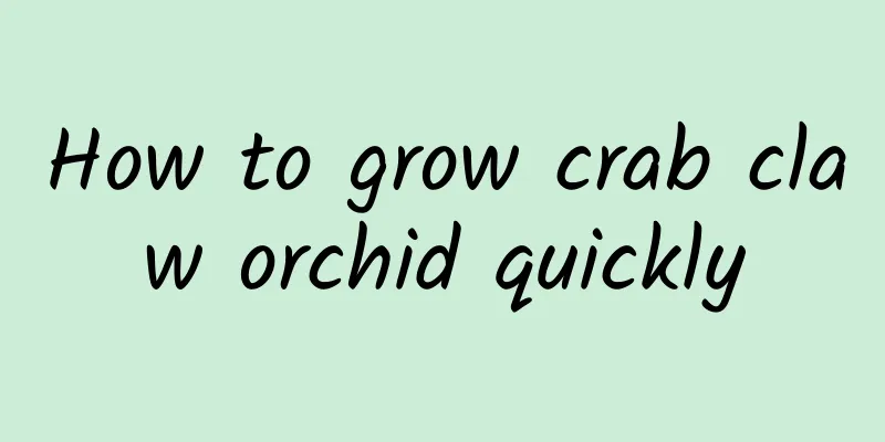 How to grow crab claw orchid quickly