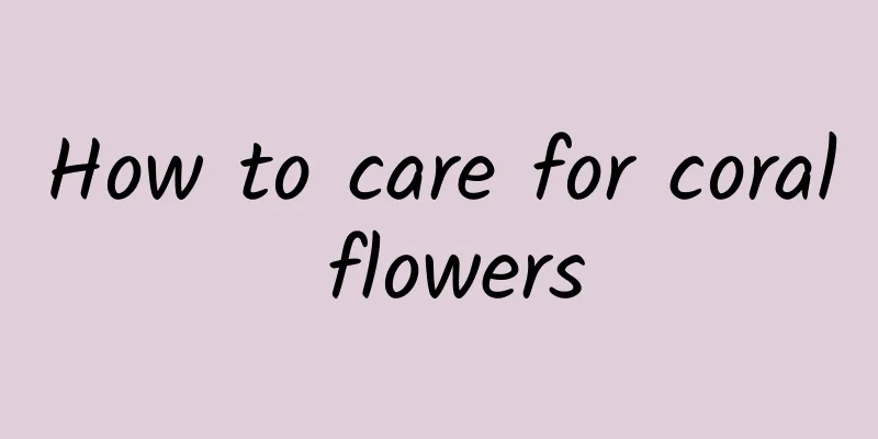 How to care for coral flowers
