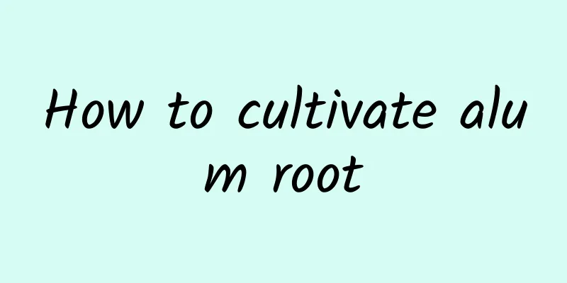 How to cultivate alum root