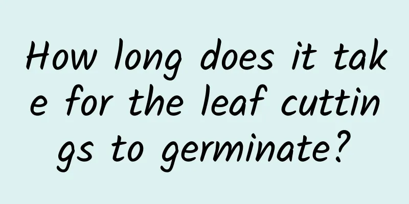 How long does it take for the leaf cuttings to germinate?