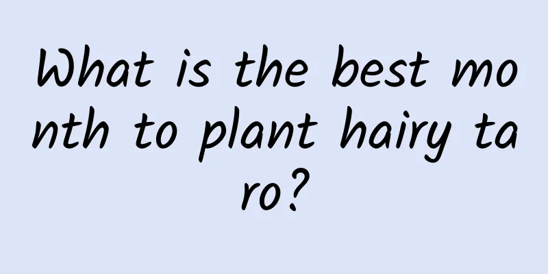 What is the best month to plant hairy taro?