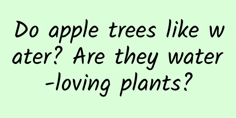Do apple trees like water? Are they water-loving plants?
