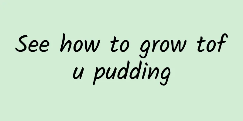 See how to grow tofu pudding