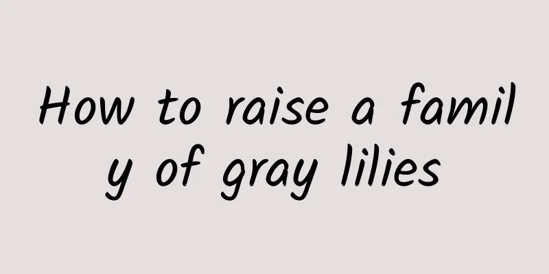 How to raise a family of gray lilies