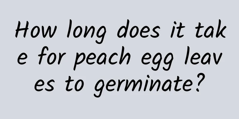 How long does it take for peach egg leaves to germinate?
