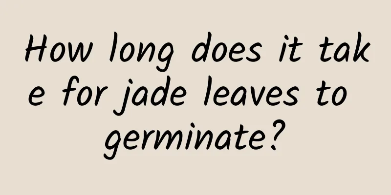How long does it take for jade leaves to germinate?