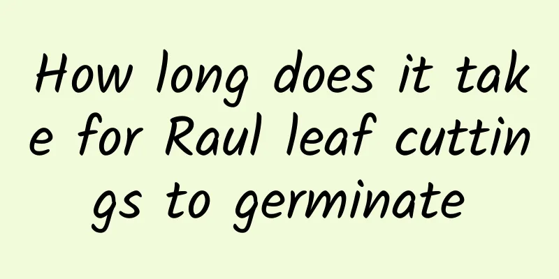 How long does it take for Raul leaf cuttings to germinate