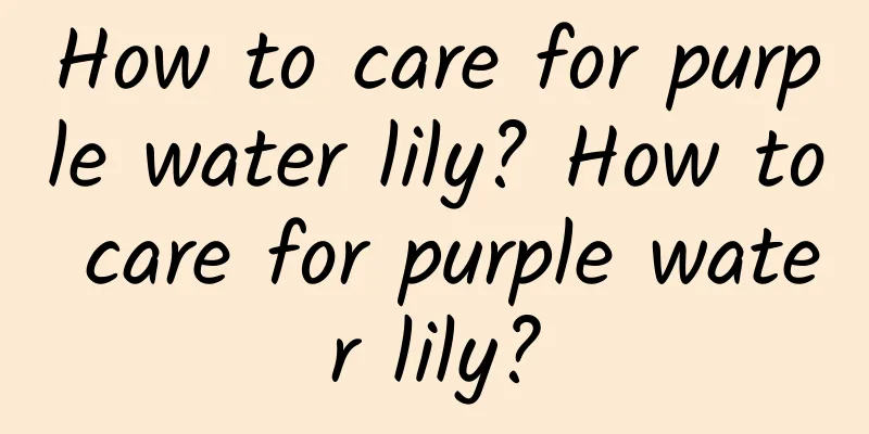 How to care for purple water lily? How to care for purple water lily?