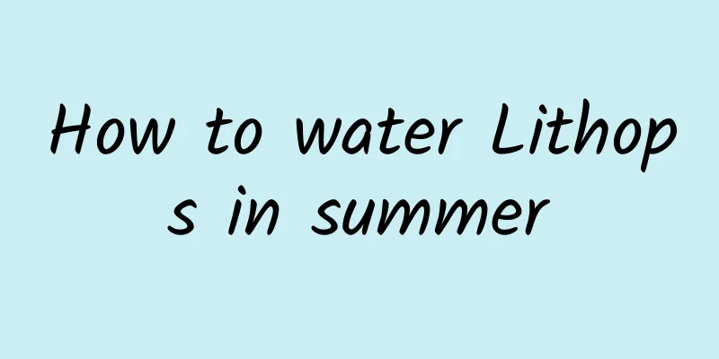 How to water Lithops in summer