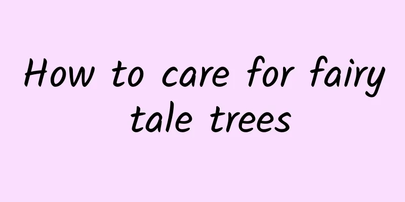 How to care for fairy tale trees