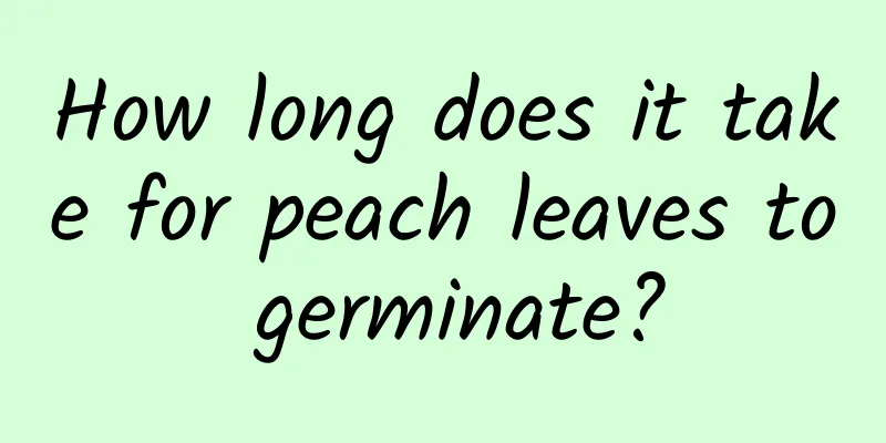 How long does it take for peach leaves to germinate?