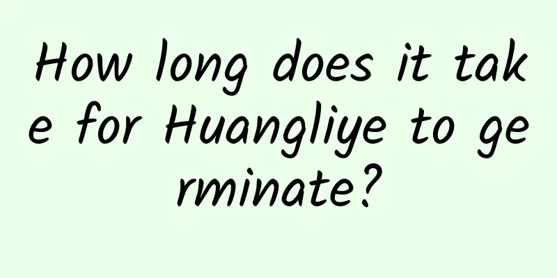 How long does it take for Huangliye to germinate?