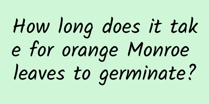 How long does it take for orange Monroe leaves to germinate?