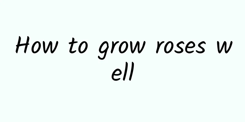 How to grow roses well
