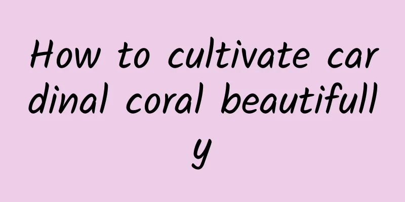 How to cultivate cardinal coral beautifully