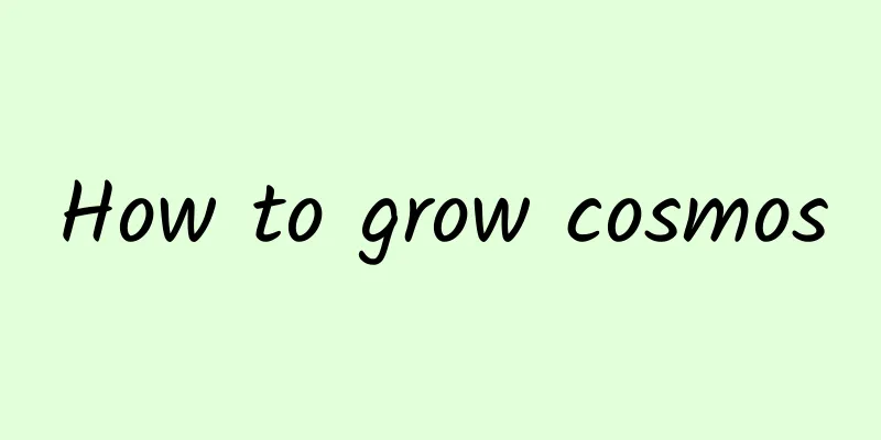 How to grow cosmos