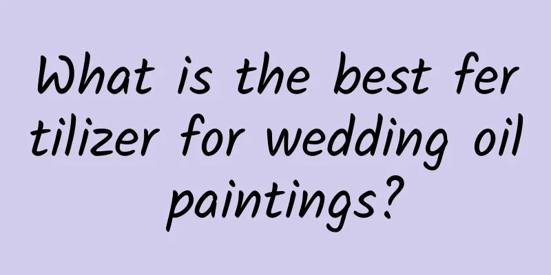 What is the best fertilizer for wedding oil paintings?