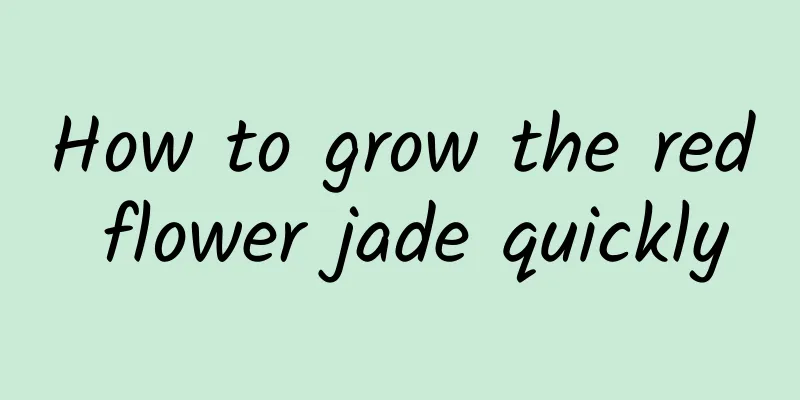 How to grow the red flower jade quickly