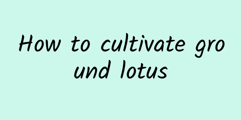 How to cultivate ground lotus