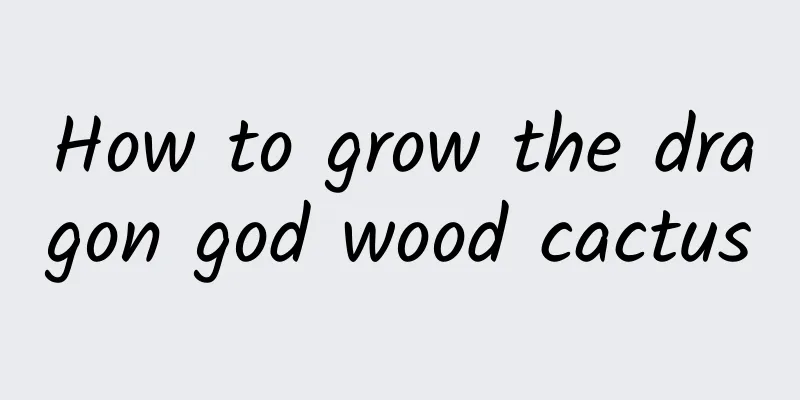 How to grow the dragon god wood cactus