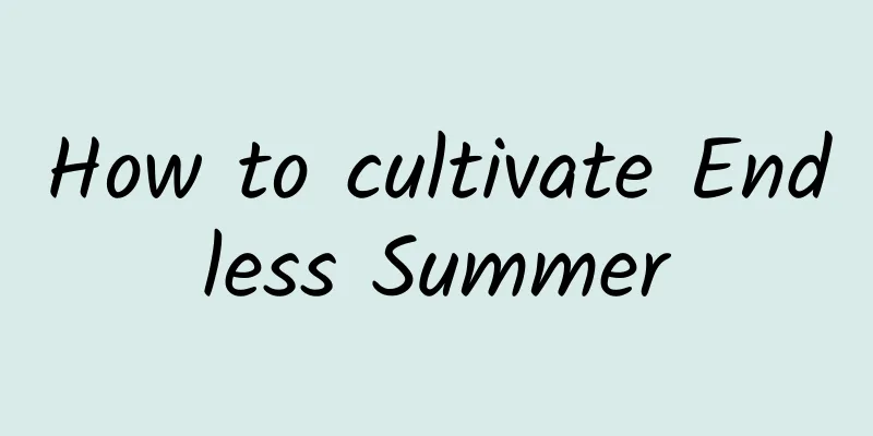 How to cultivate Endless Summer