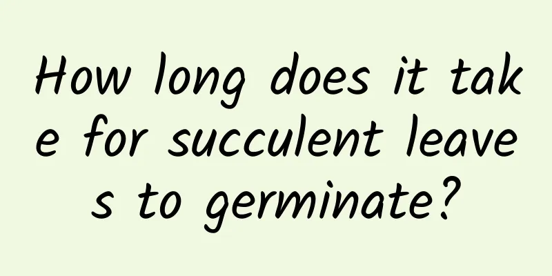 How long does it take for succulent leaves to germinate?