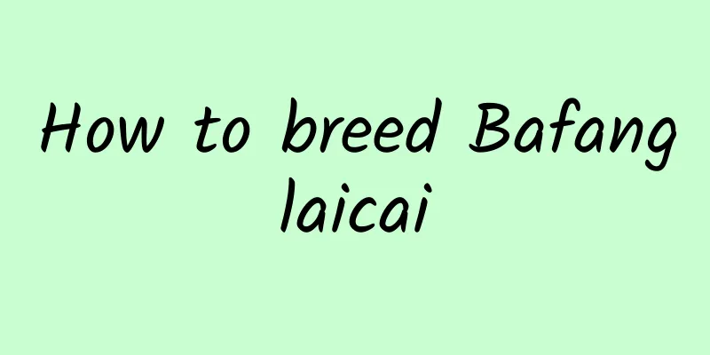 How to breed Bafanglaicai