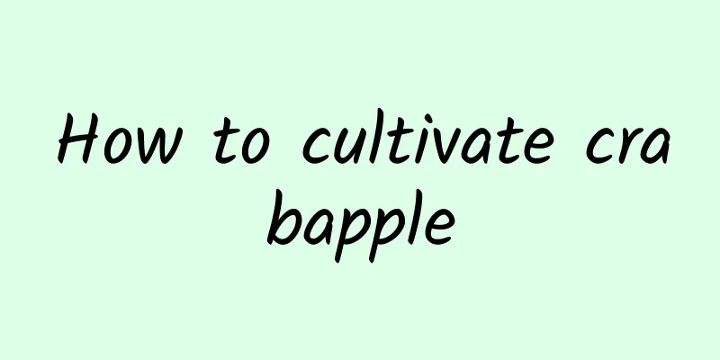 How to cultivate crabapple