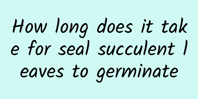 How long does it take for seal succulent leaves to germinate