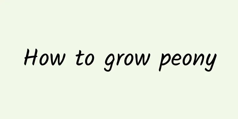 How to grow peony