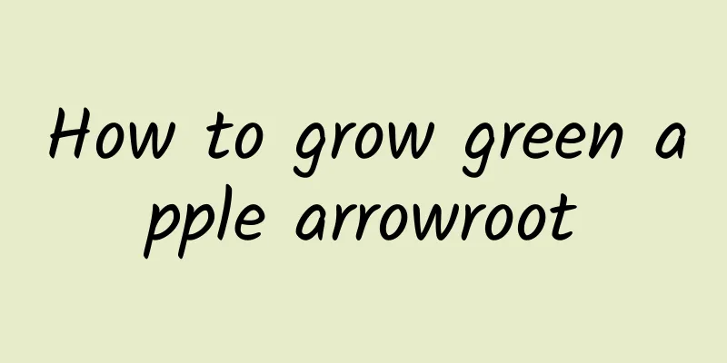How to grow green apple arrowroot