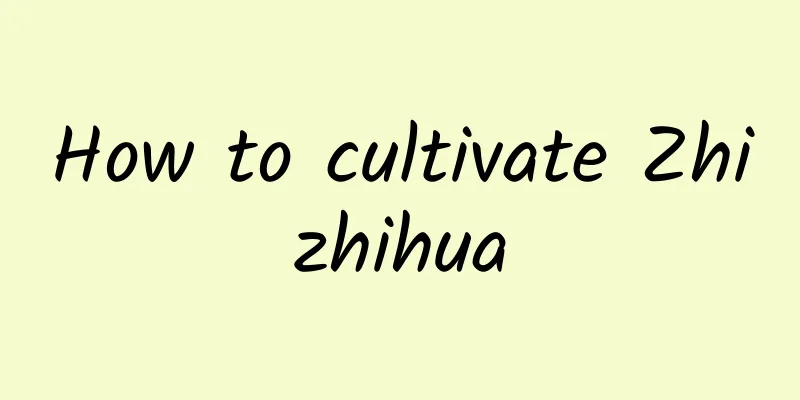 How to cultivate Zhizhihua