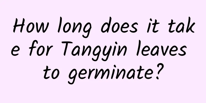 How long does it take for Tangyin leaves to germinate?
