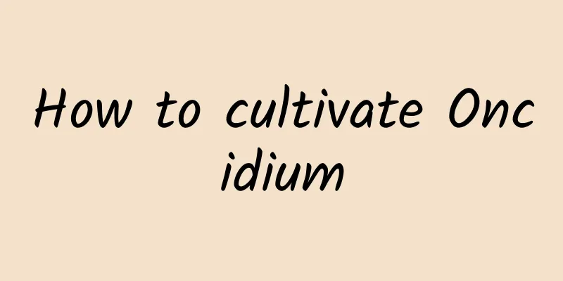 How to cultivate Oncidium