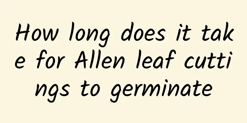 How long does it take for Allen leaf cuttings to germinate