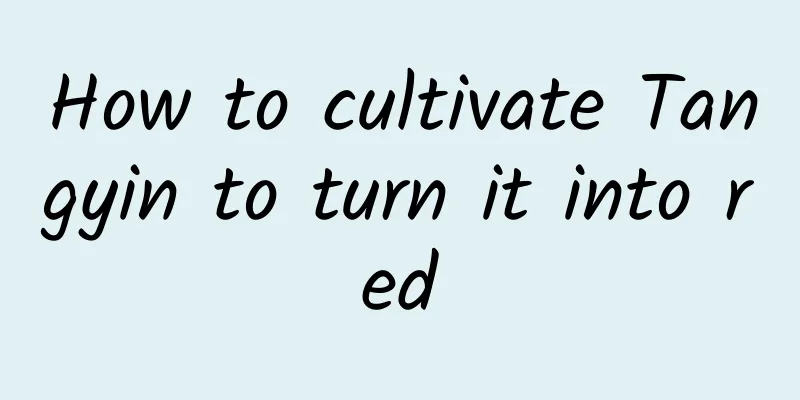 How to cultivate Tangyin to turn it into red