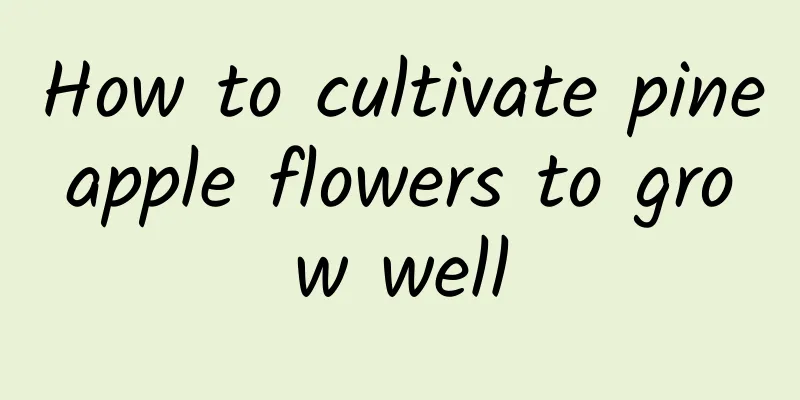 How to cultivate pineapple flowers to grow well
