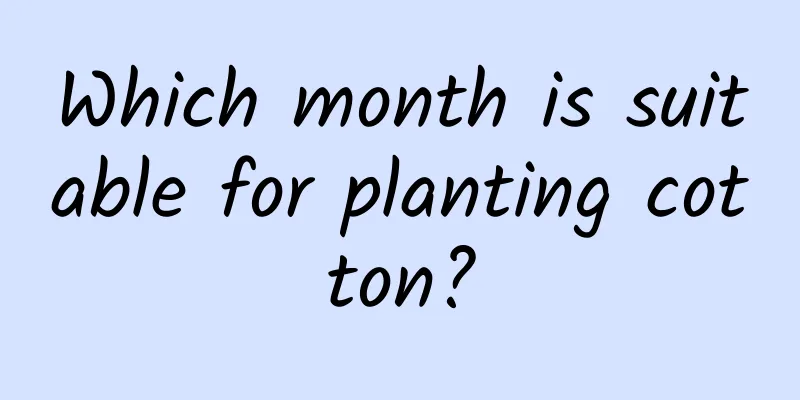 Which month is suitable for planting cotton?