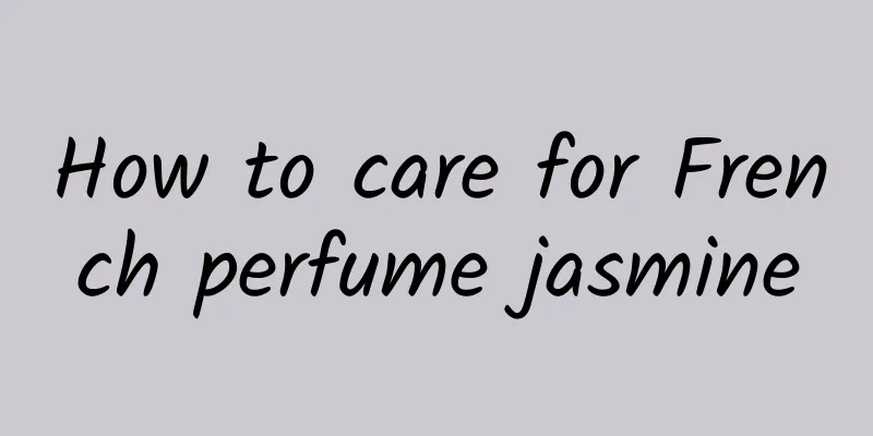 How to care for French perfume jasmine