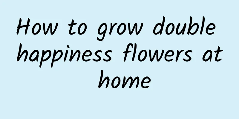 How to grow double happiness flowers at home