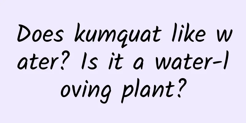 Does kumquat like water? Is it a water-loving plant?