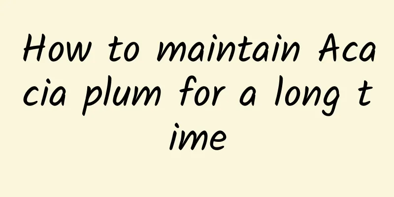 How to maintain Acacia plum for a long time